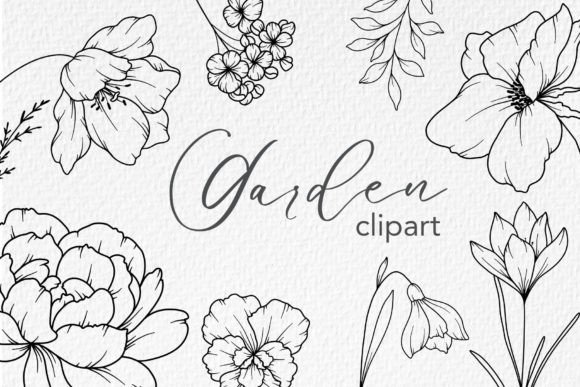 Download FLOWERS LINE DRAWING, Floral Line Art - Line Collection