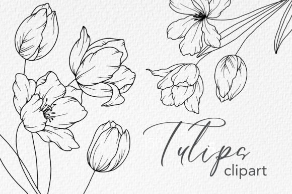 Download Tulips Line Drawing, Floral Line Art - Line Collection